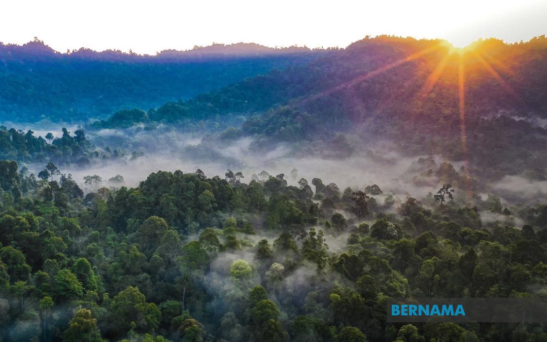 Kelantan to Replace All Degazetted Forest Reserves, State Deputy Chief Assures