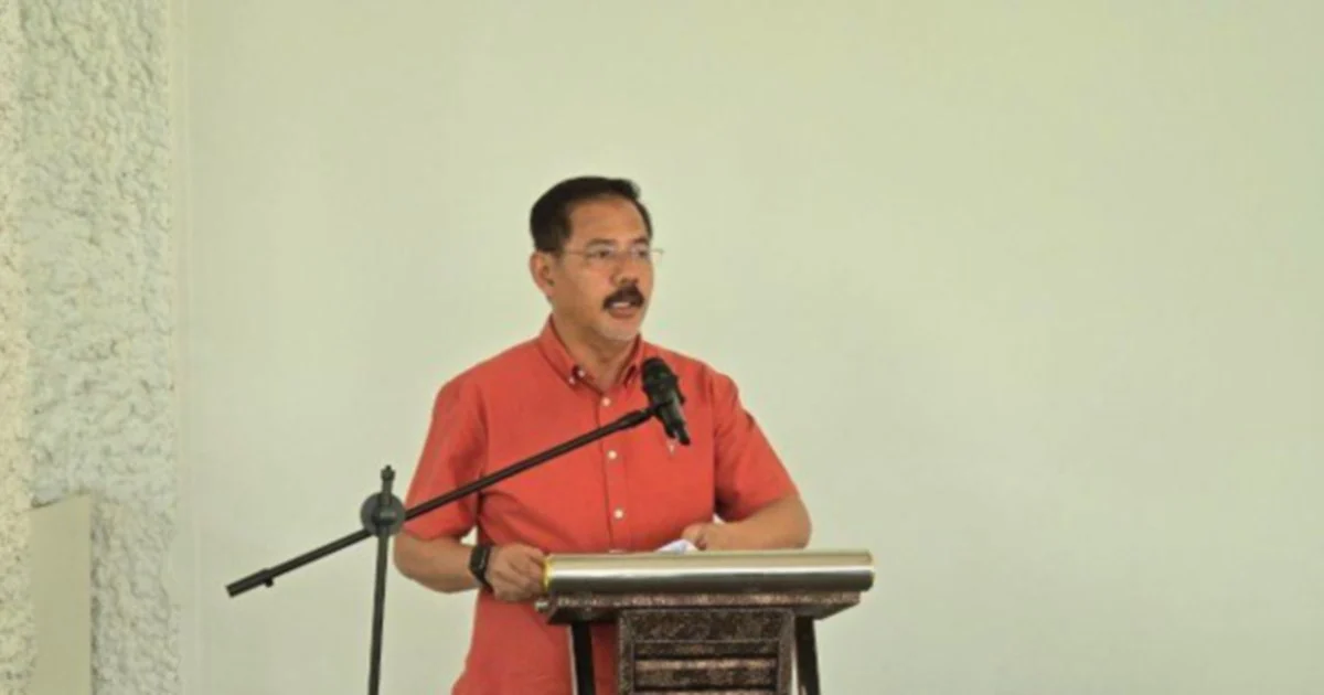 Johor Umno dismisses forecasts of weak performance, defends coalition strength