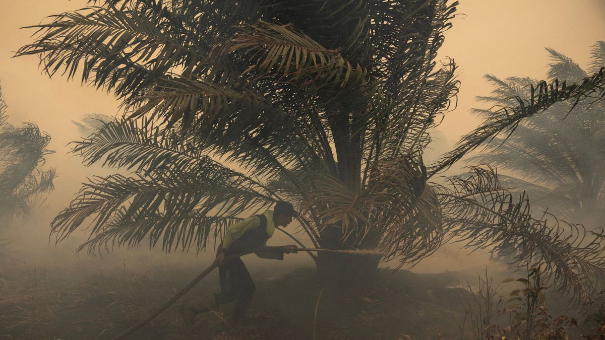 Japan Deploys Helicopters as Kalimantan's Air Pollution Crisis Deepens