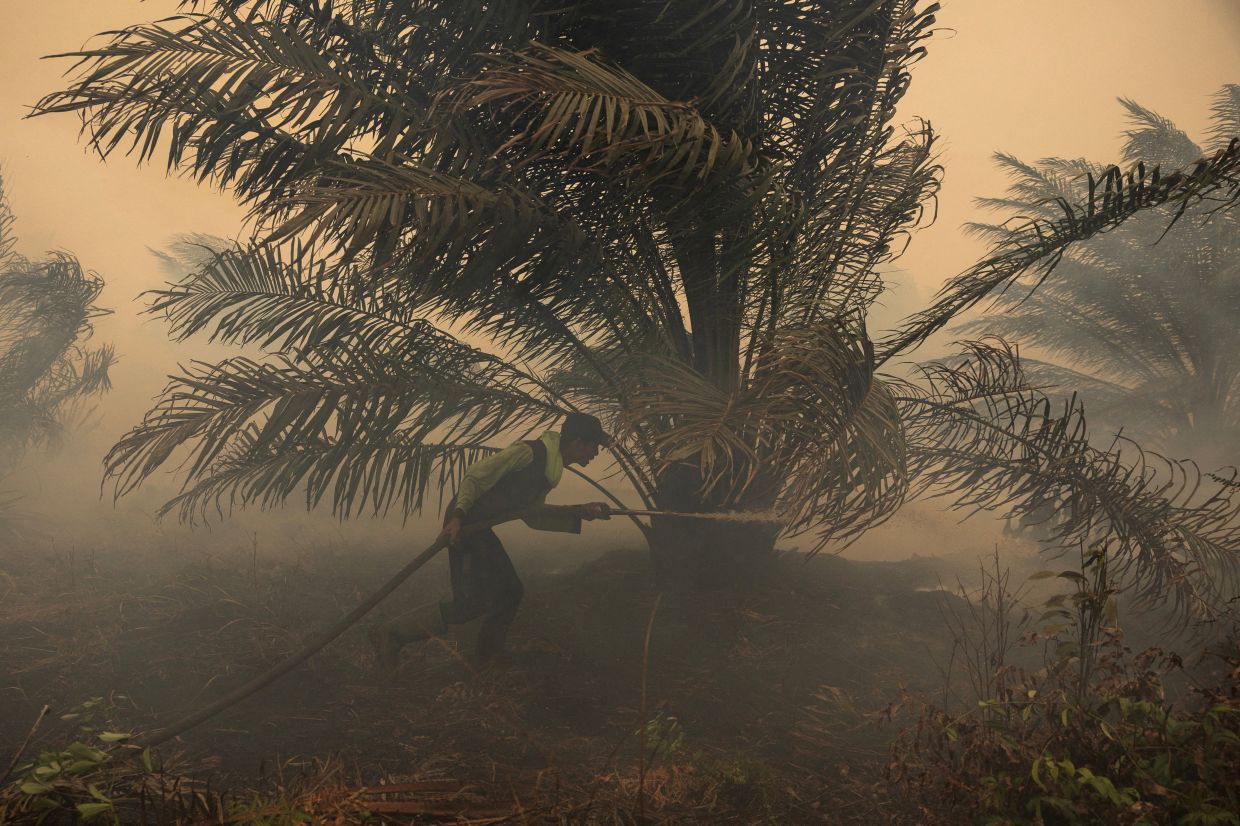 Japan Deploys Helicopters as Kalimantan's Air Pollution Crisis Deepens