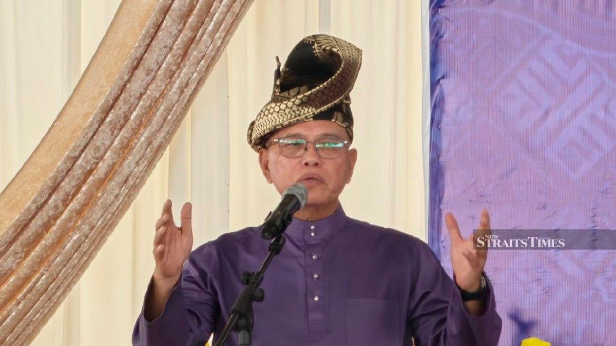 Negri Sembilan Election Result Shows Voters Reject Racial Politics, Declares Umno Deputy