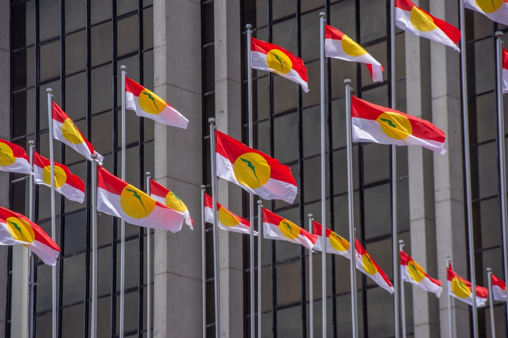Perlis Umno Signals Solo Campaign Strategy for All 18 Seats