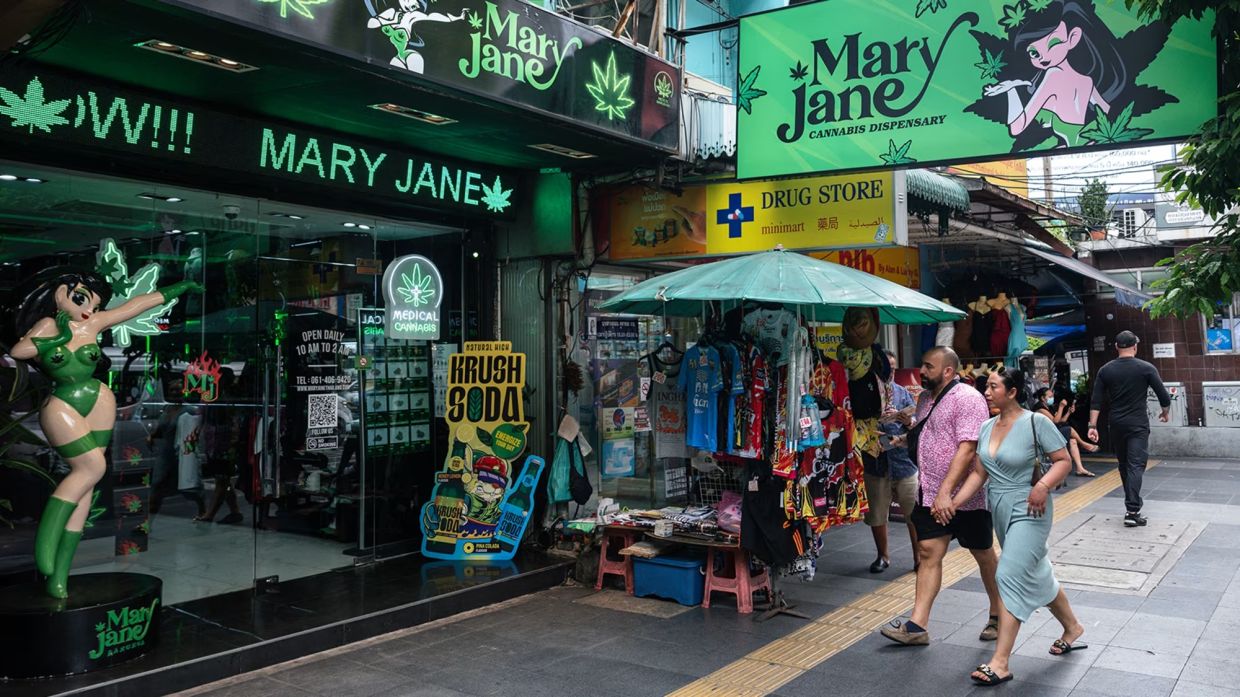 Thailand's Cannabis Regulatory Framework Under Pressure as Sales Surge and Legal Gaps Widen