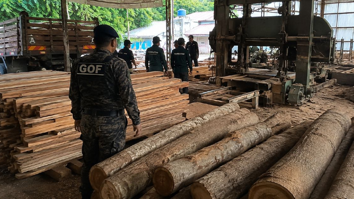 Enforcement sweep nabs illegal sawmill operation in Terengganu; timber and equipment worth RM640,510 confiscated