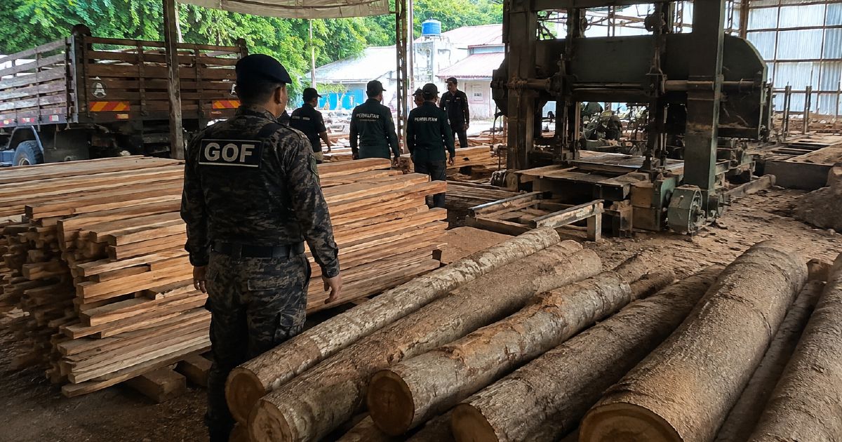 Enforcement sweep nabs illegal sawmill operation in Terengganu; timber and equipment worth RM640,510 confiscated