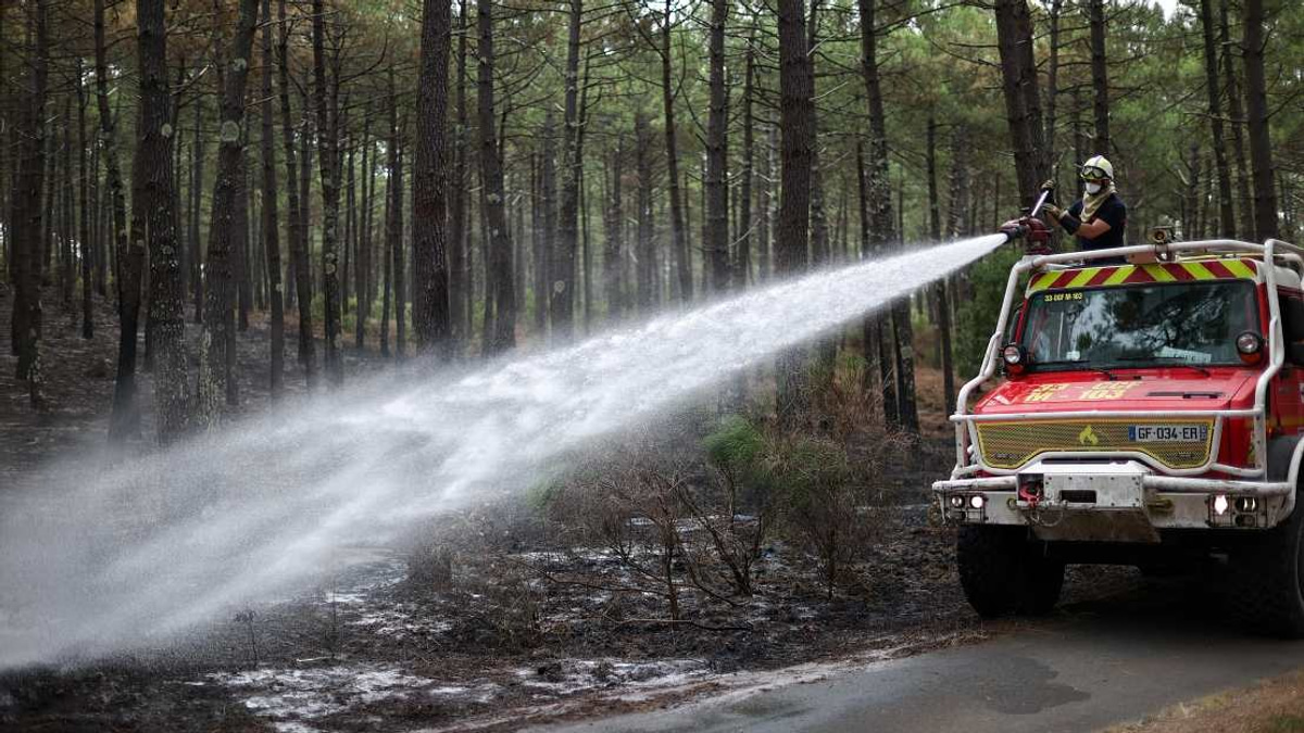 France Arrests Over 300 People in Wildfire Crackdown as Blazes Claim Vast Territory