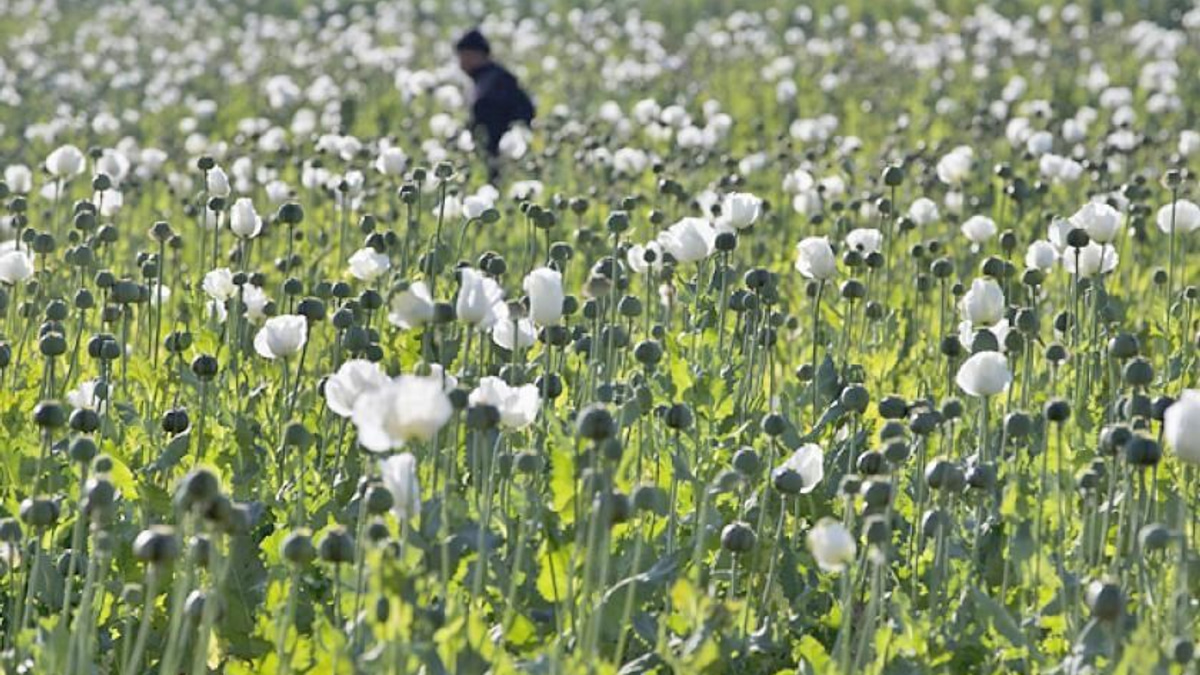 Myanmar Police Bust Major Drug Smuggling Operations in Mandalay and Naypyitaw