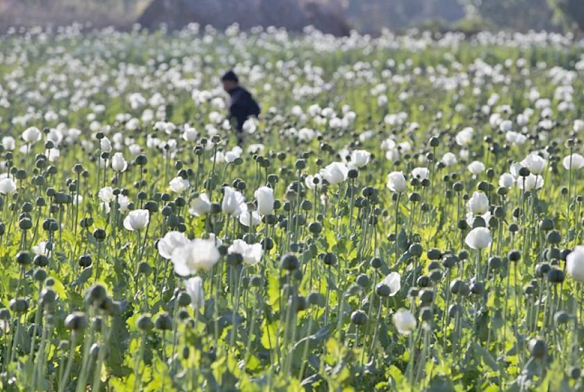 Myanmar Police Bust Major Drug Smuggling Operations in Mandalay and Naypyitaw