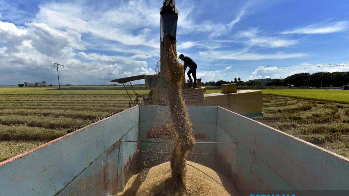 Malaysia's Rice Act Gets Tougher: Parliament Debates Enhanced Price Controls and Penalties