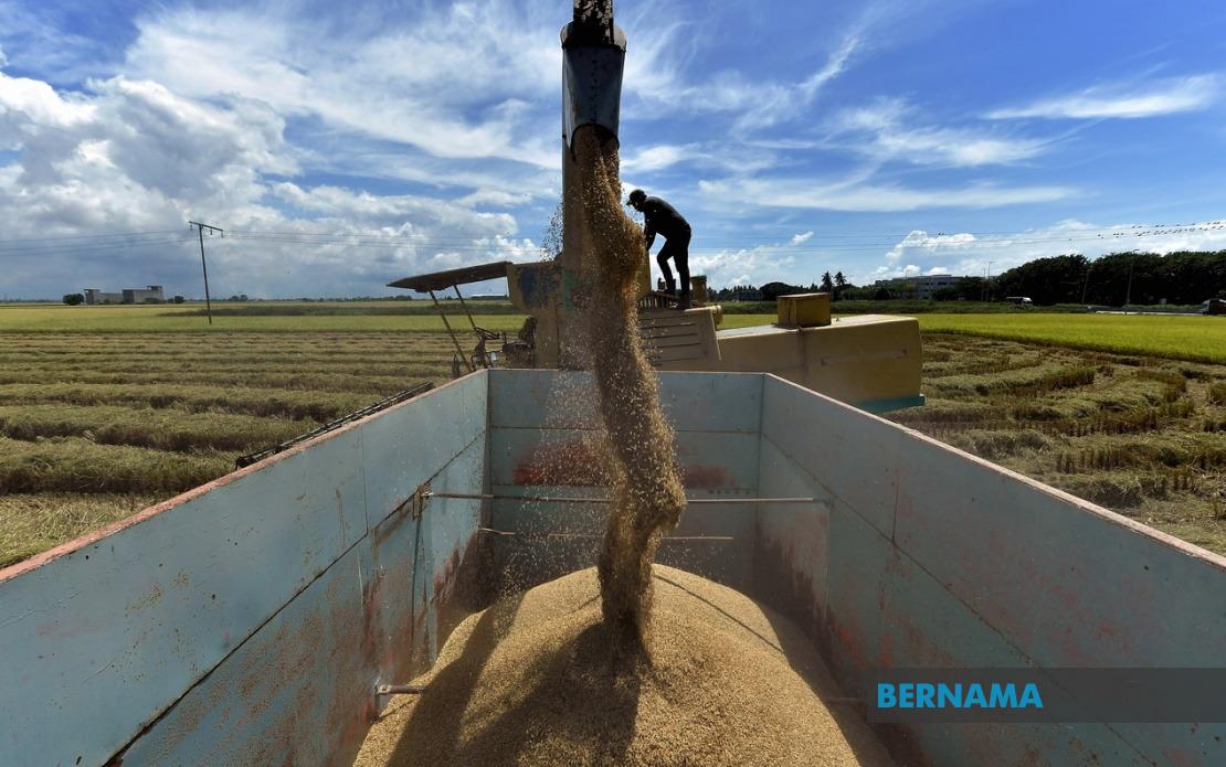 Malaysia's Rice Act Gets Tougher: Parliament Debates Enhanced Price Controls and Penalties