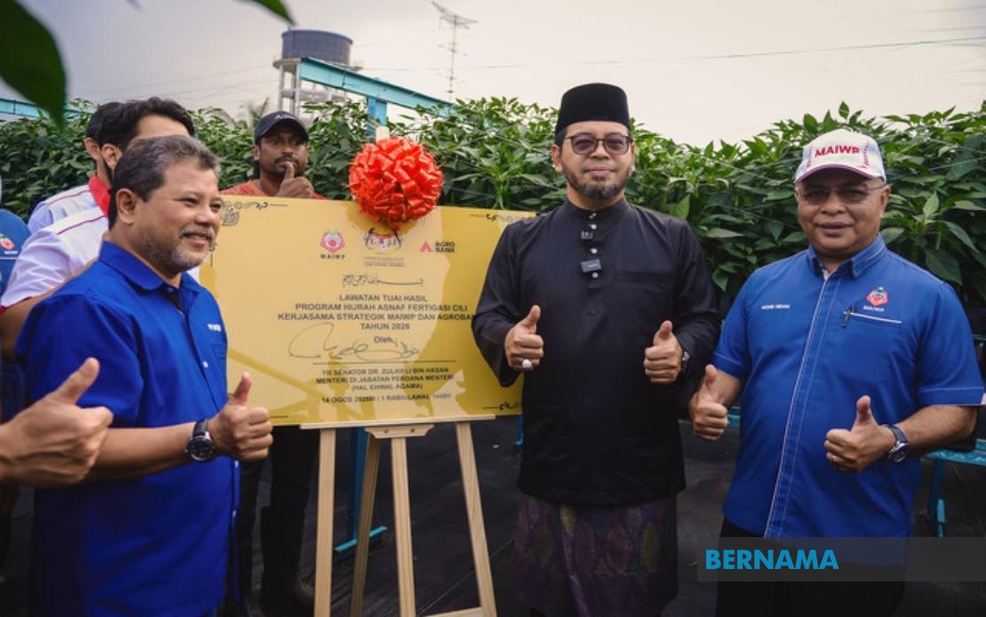 MAIWP Scales Up Asnaf Chilli Farming With Fertigation Expansion to Five Acres