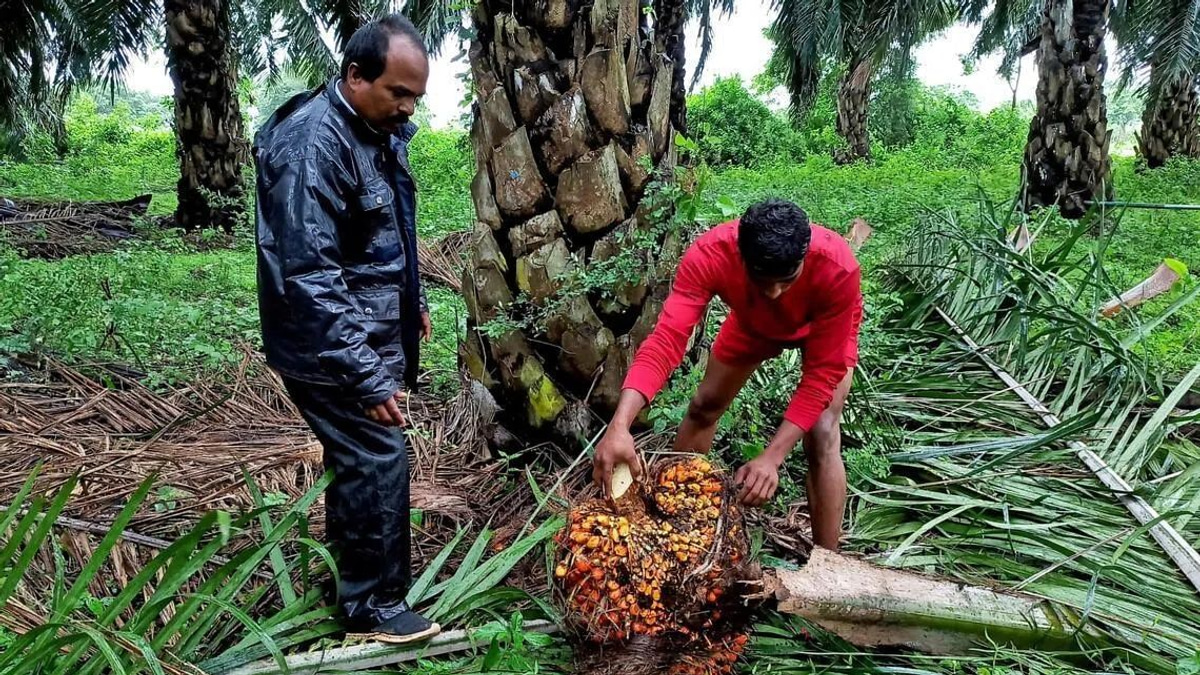 India bans forced labour imports to dodge US tariffs