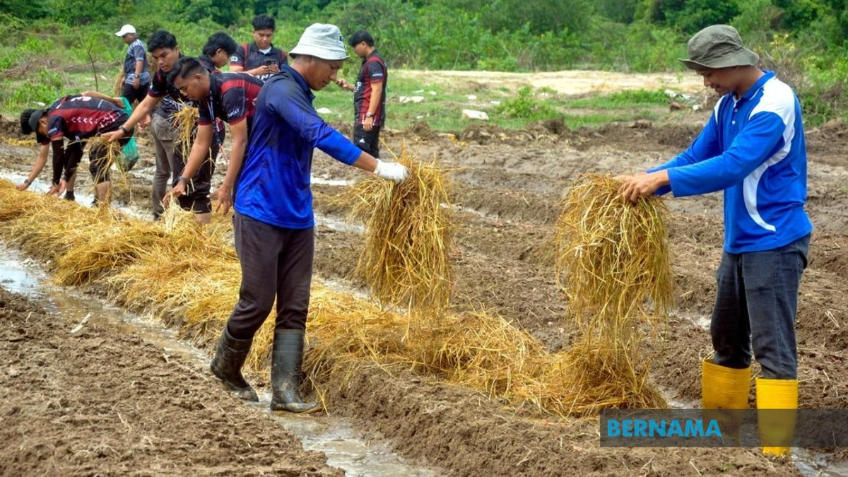 Agricultural TVET Employment Climbs to 76%, But Still Lags National Average