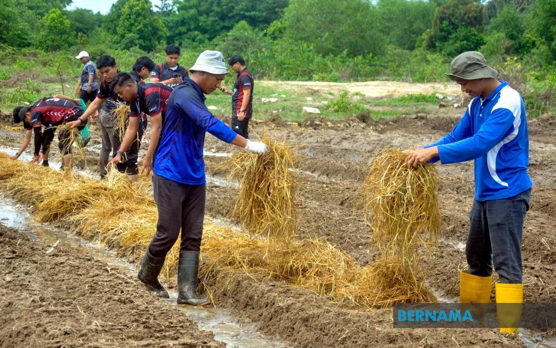 Agricultural TVET Employment Climbs to 76%, But Still Lags National Average