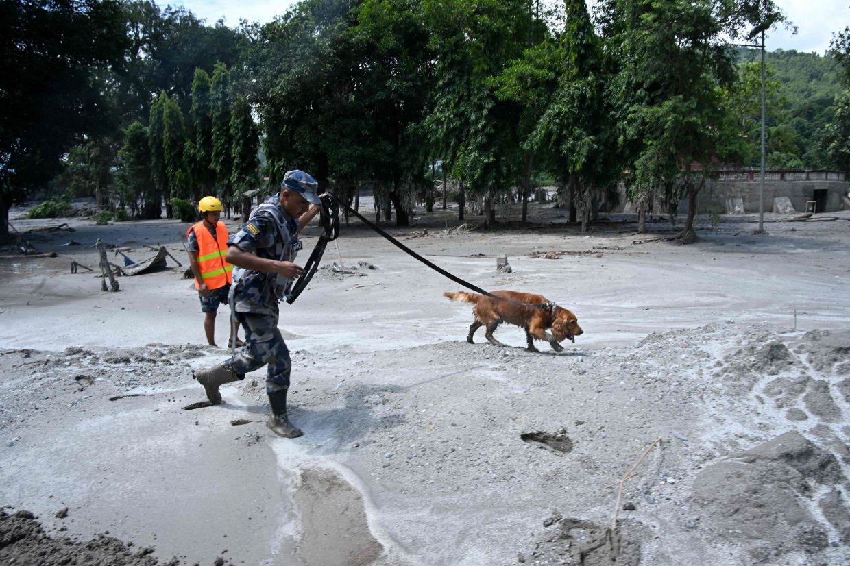 Over 1,400 missing as Nepal-Tibet border disaster toll climbs to 392 dead