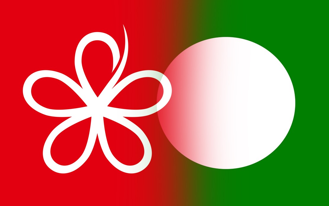 RoS Must Intervene in PN Crisis, Says Bersatu as Party Disputes Expulsion Claims
