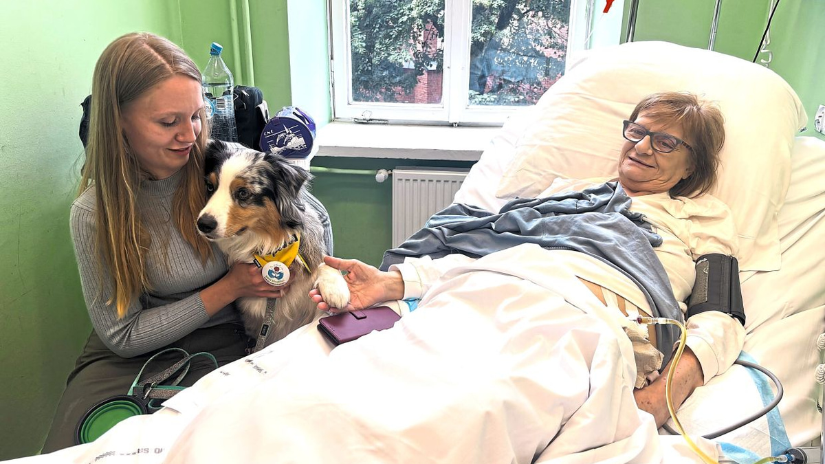 Poland moves to enshrine pet visitation rights in hospice care as doctors champion companionship for dying patients