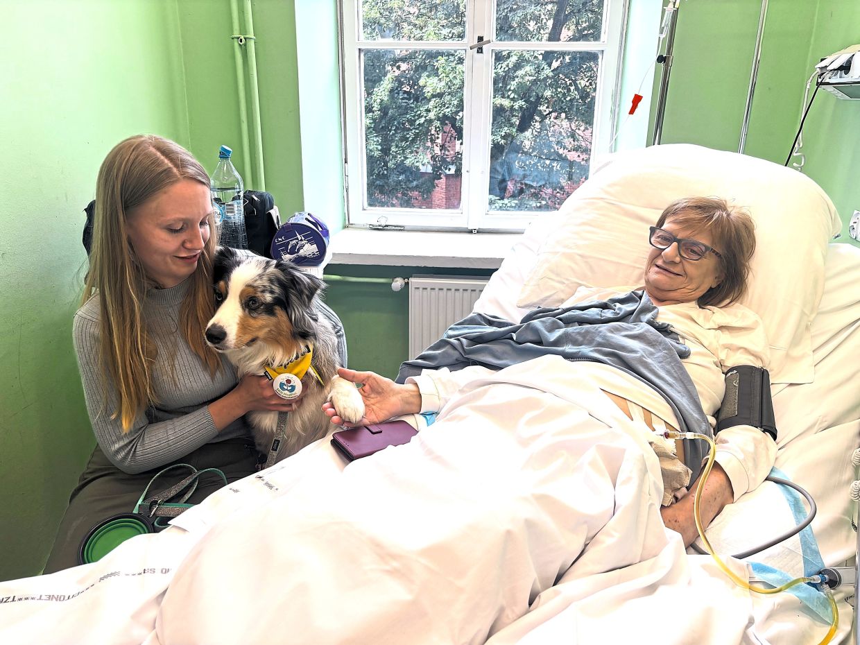 Poland moves to enshrine pet visitation rights in hospice care as doctors champion companionship for dying patients