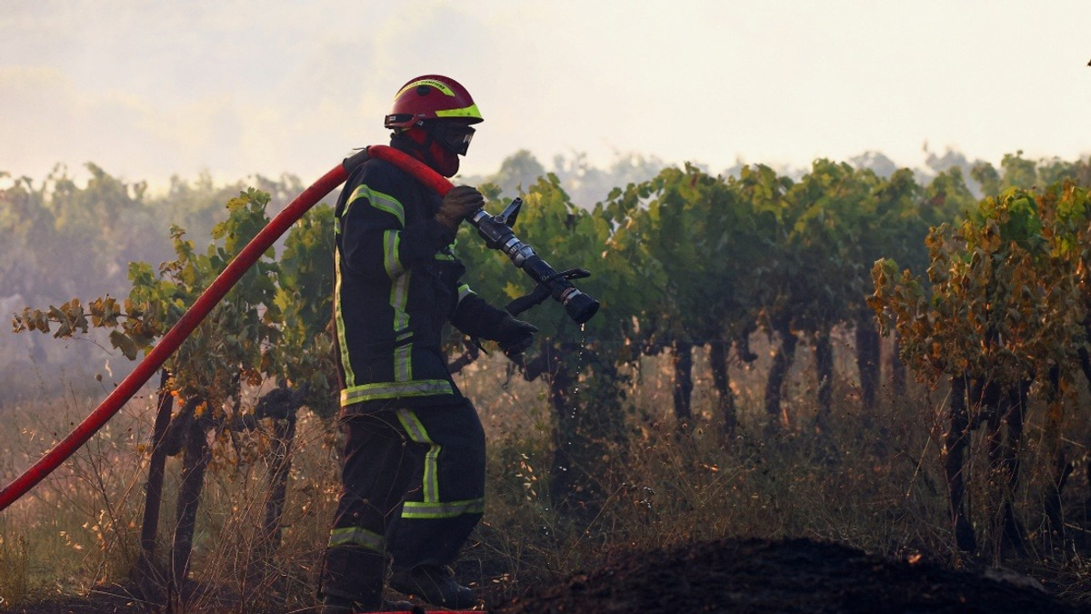 Massive Wildfires Devastate French Region As Heat Wave Intensifies Across Europe