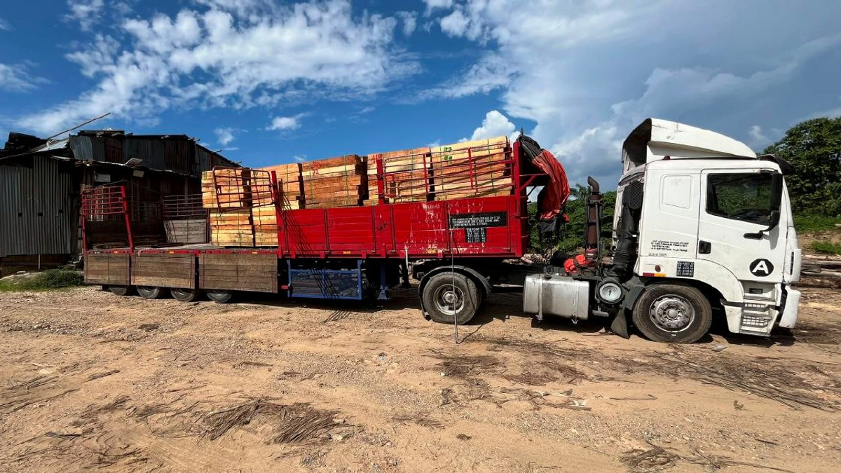 Five arrested as authorities dismantle RM2.32mil illegal timber smuggling ring in Kelantan