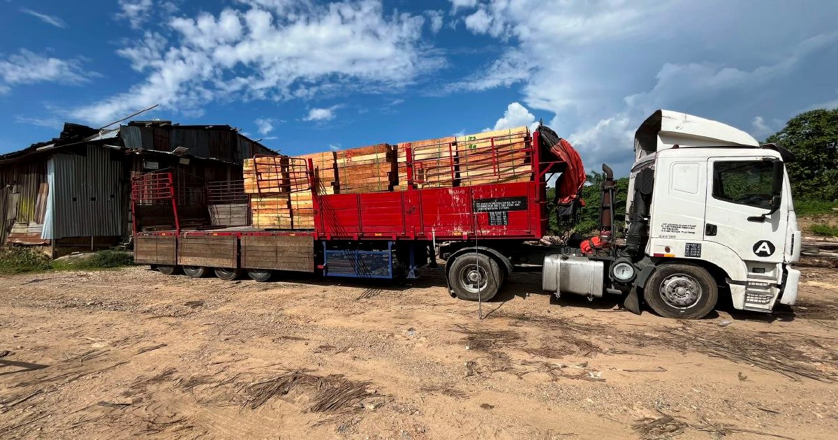 Five arrested as authorities dismantle RM2.32mil illegal timber smuggling ring in Kelantan