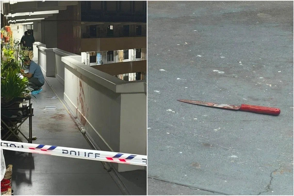 Singapore man charged with murder of neighbour in Lengkok Bahru dispute