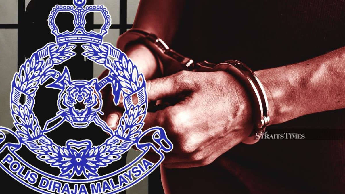 Three detained as wildlife authorities bust protected bird trafficking operation in KL and Selangor