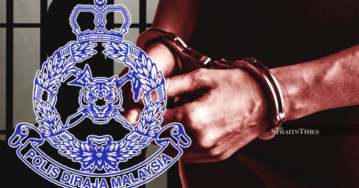 Three detained as wildlife authorities bust protected bird trafficking operation in KL and Selangor