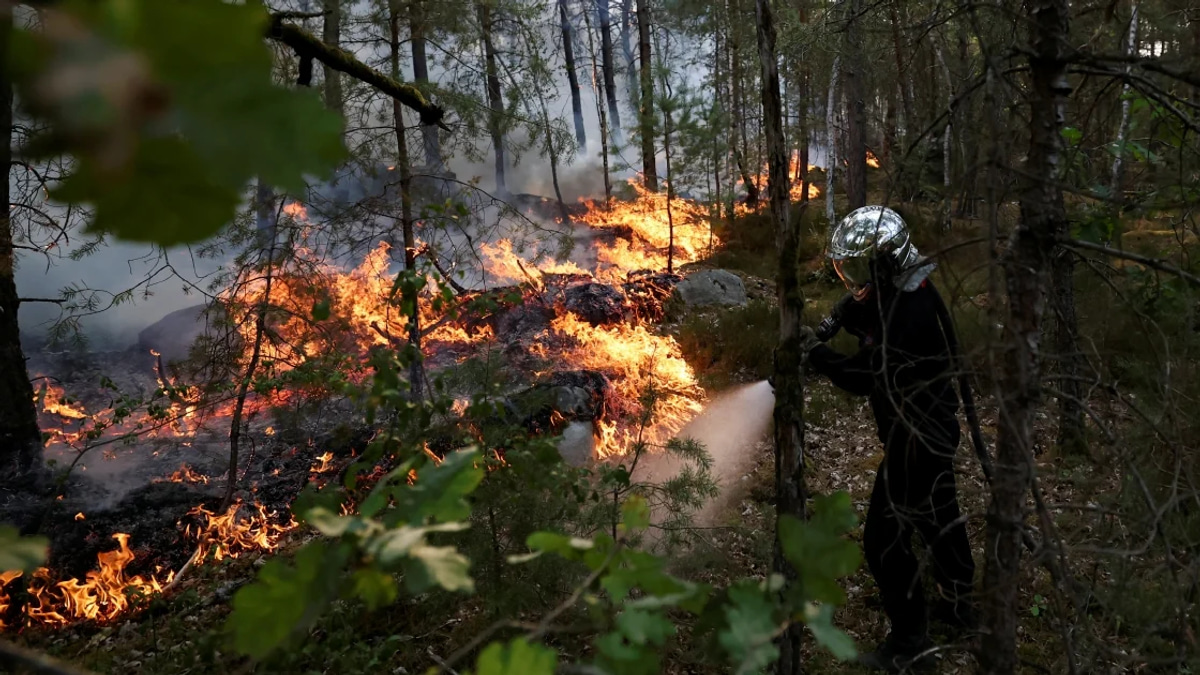 Two arrested as massive wildfire engulfs 1,300 hectares near Paris