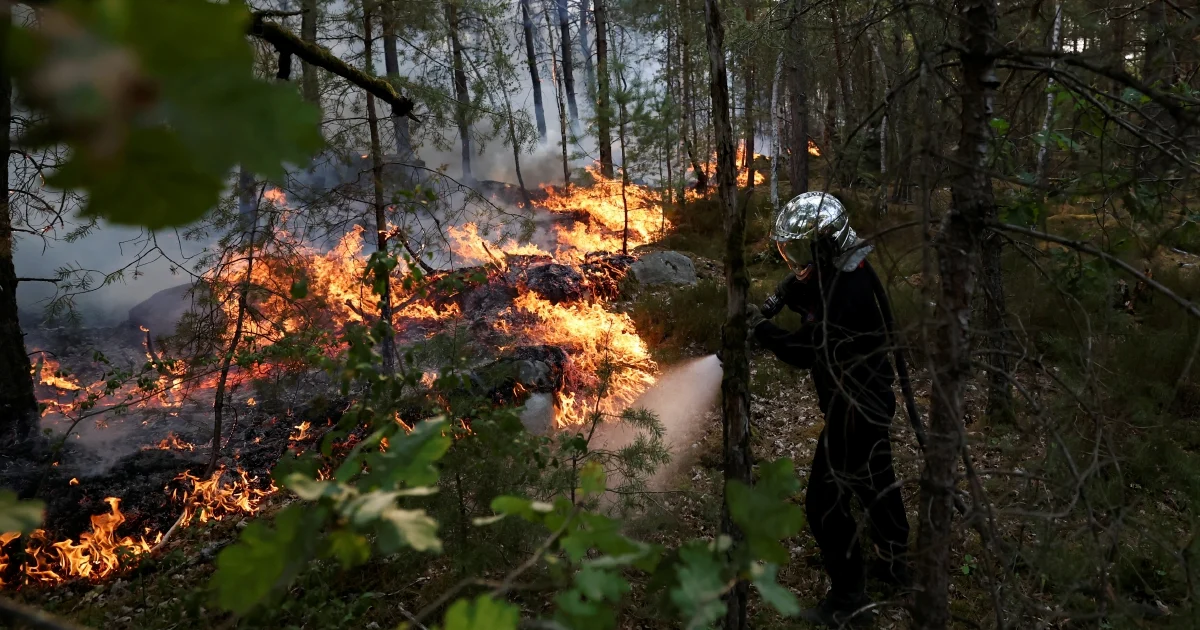 Two arrested as massive wildfire engulfs 1,300 hectares near Paris