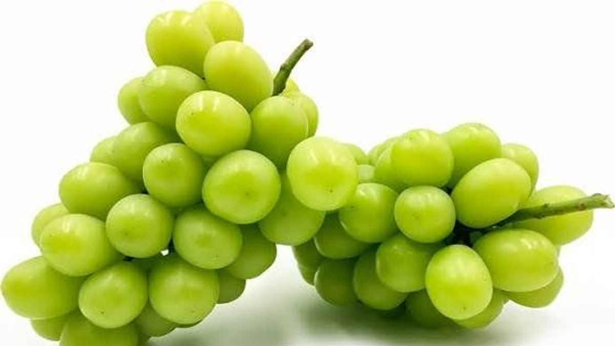 Japanese Man Arrested for RM36,000 Grape Heist from Western Greenhouse