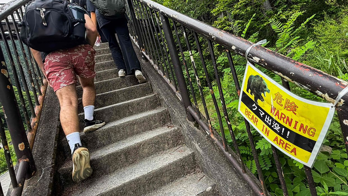 Japan Deploys Hundreds of Wildlife Cameras to Combat Surge in Bear Attacks
