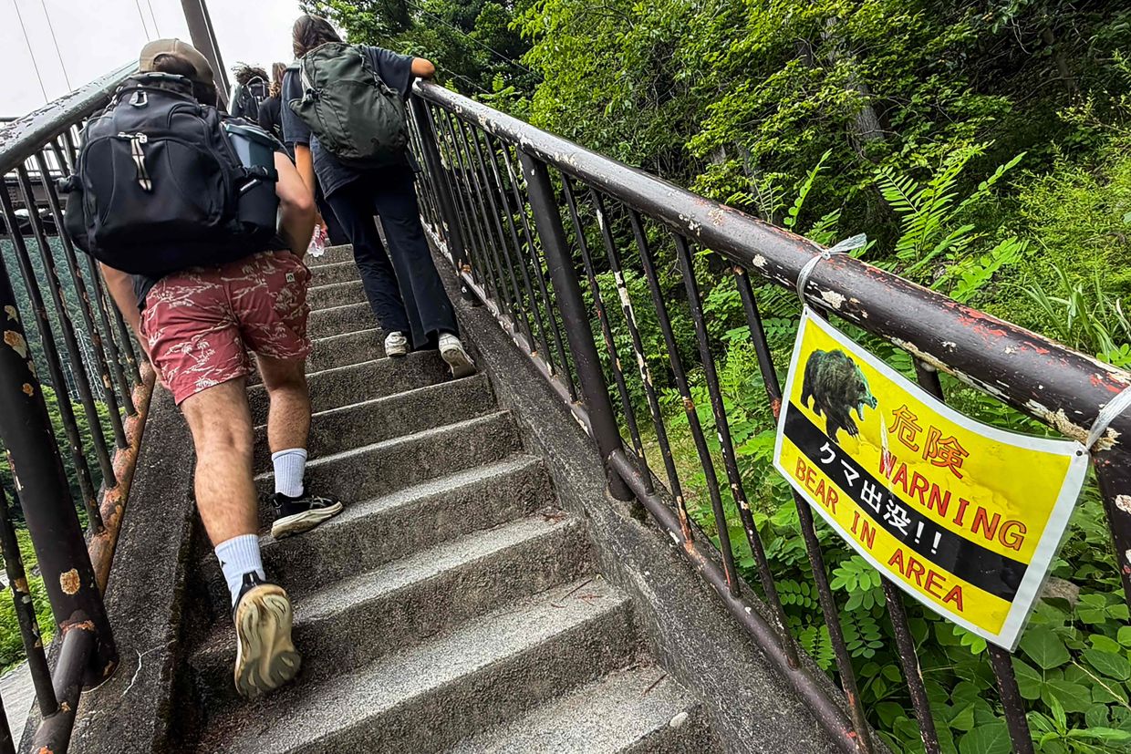 Japan Deploys Hundreds of Wildlife Cameras to Combat Surge in Bear Attacks