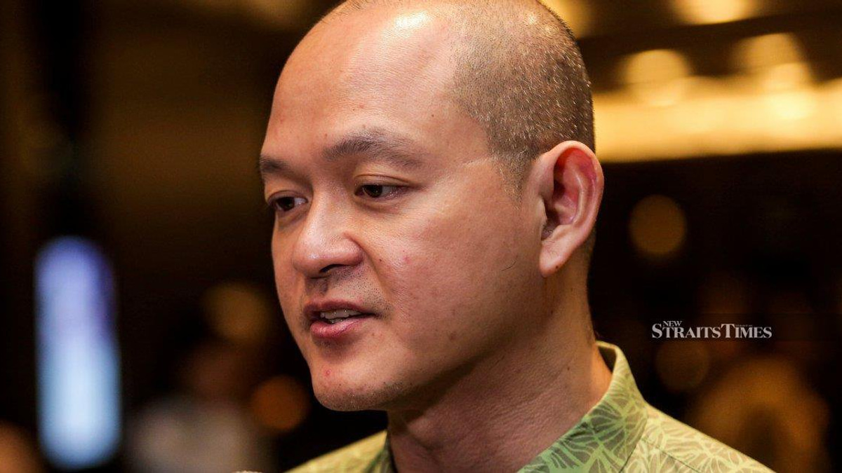 Former DAP MP urges party delegates to support cabinet exit