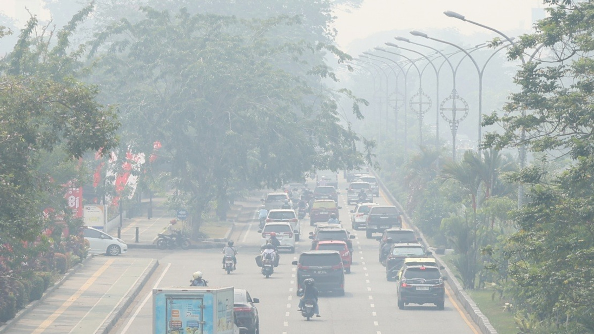 Indonesia's Air Pollution Crisis Deepens as Central Kalimantan Hits Hazardous Levels