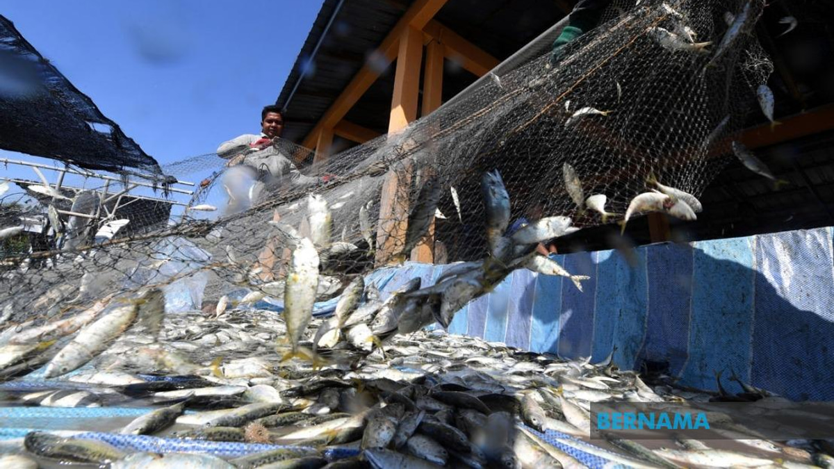 Government Invests RM10 Million in Fishermen Housing Programme Across Nation