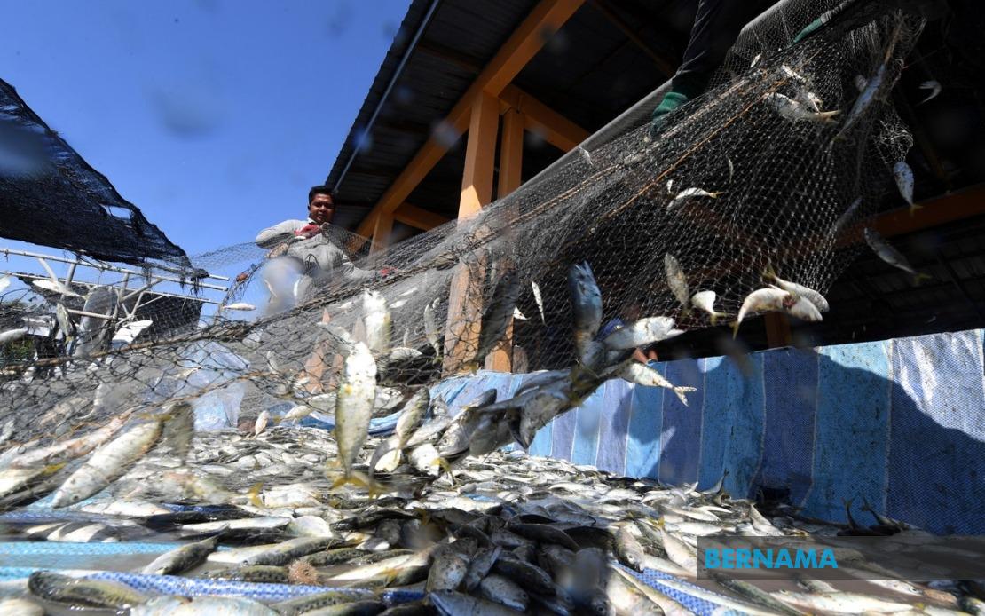 Government Invests RM10 Million in Fishermen Housing Programme Across Nation