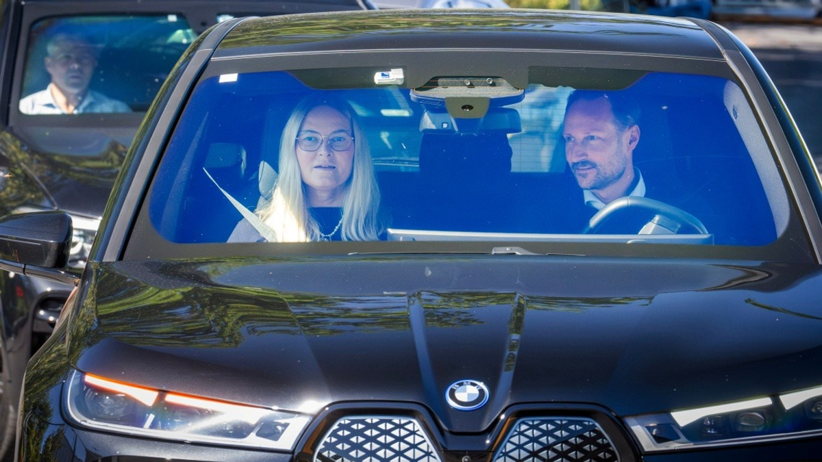 Norwegian King Harald's Health Deteriorates Sharply as Palace Issues 'Very Serious' Alert