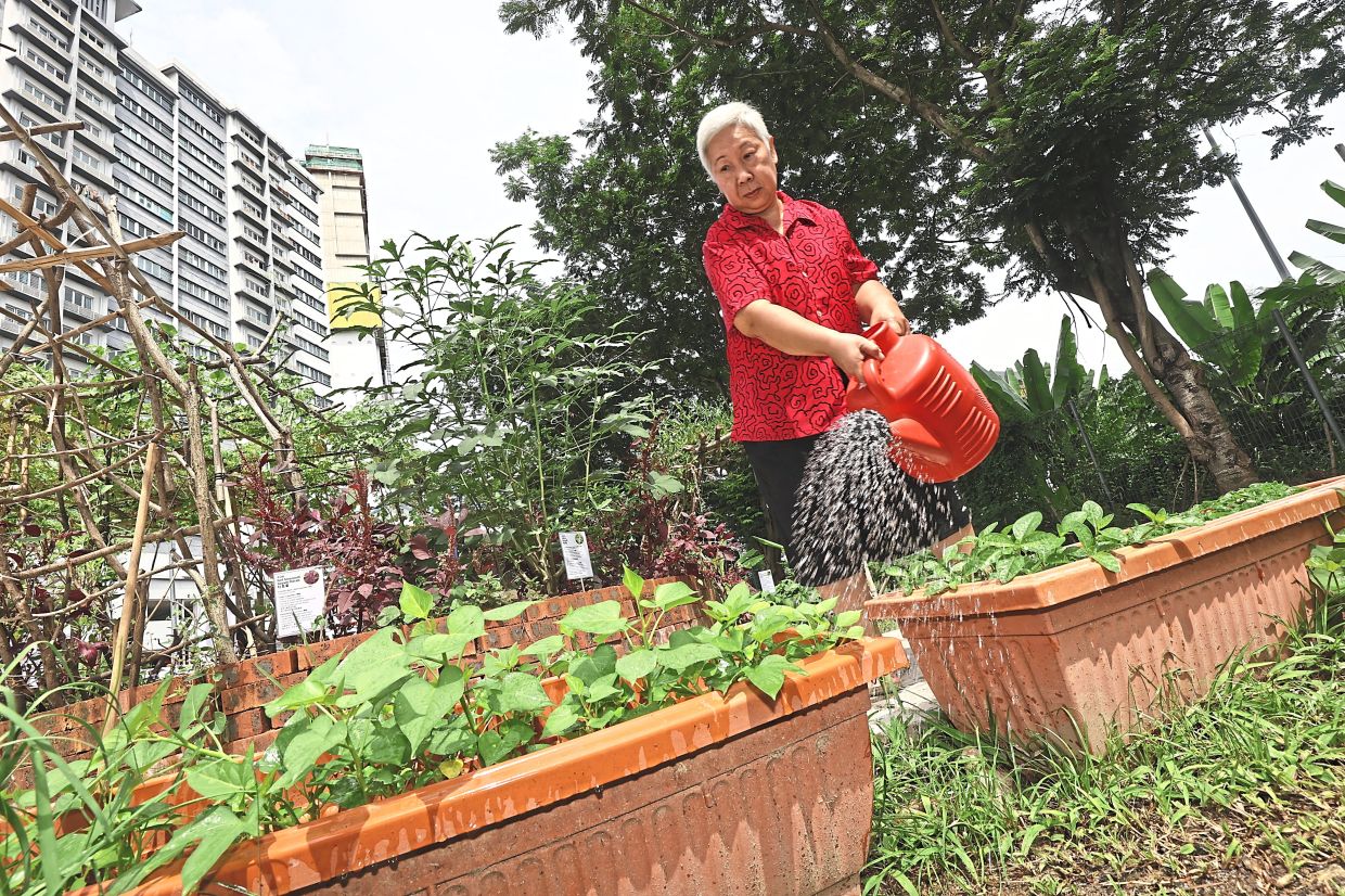 From Wasteland to Wellness: How KL's 1Razak Mansion Food Forest is Transforming Senior Living