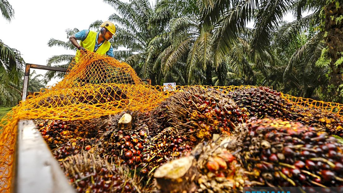 MPOB Research Station in Melaka to Drive Palm Oil Innovation and Rural Development