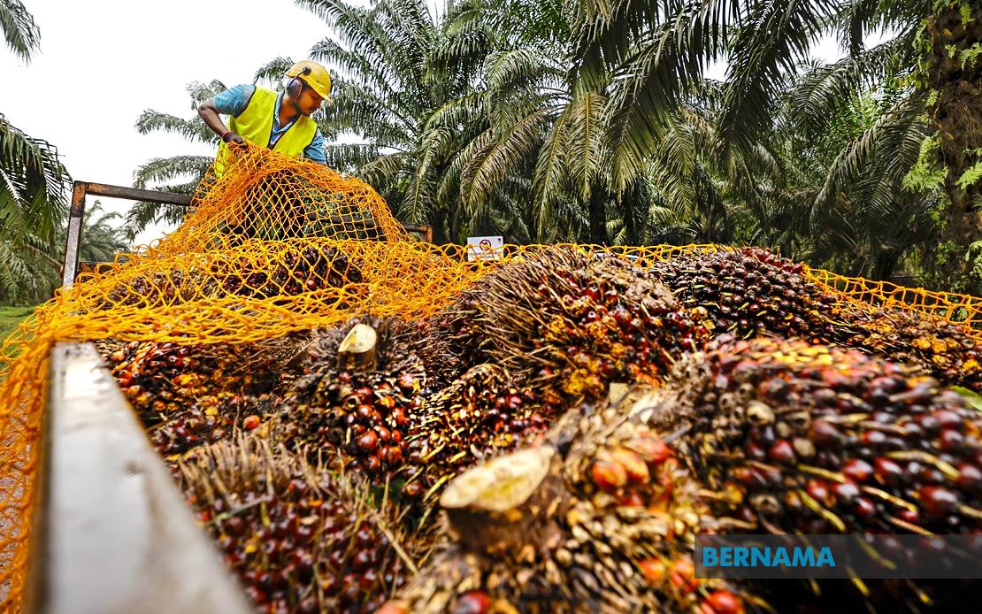 MPOB Research Station in Melaka to Drive Palm Oil Innovation and Rural Development