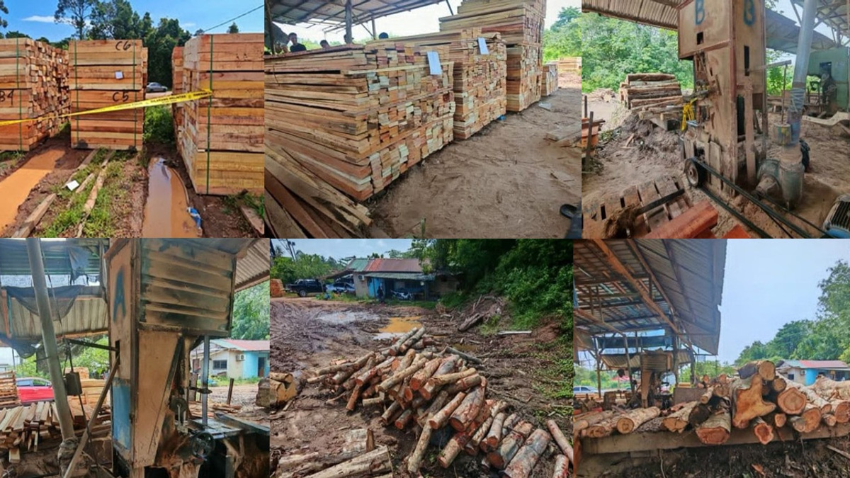 Four arrested as authorities crack down on illegal timber operations in Kelantan