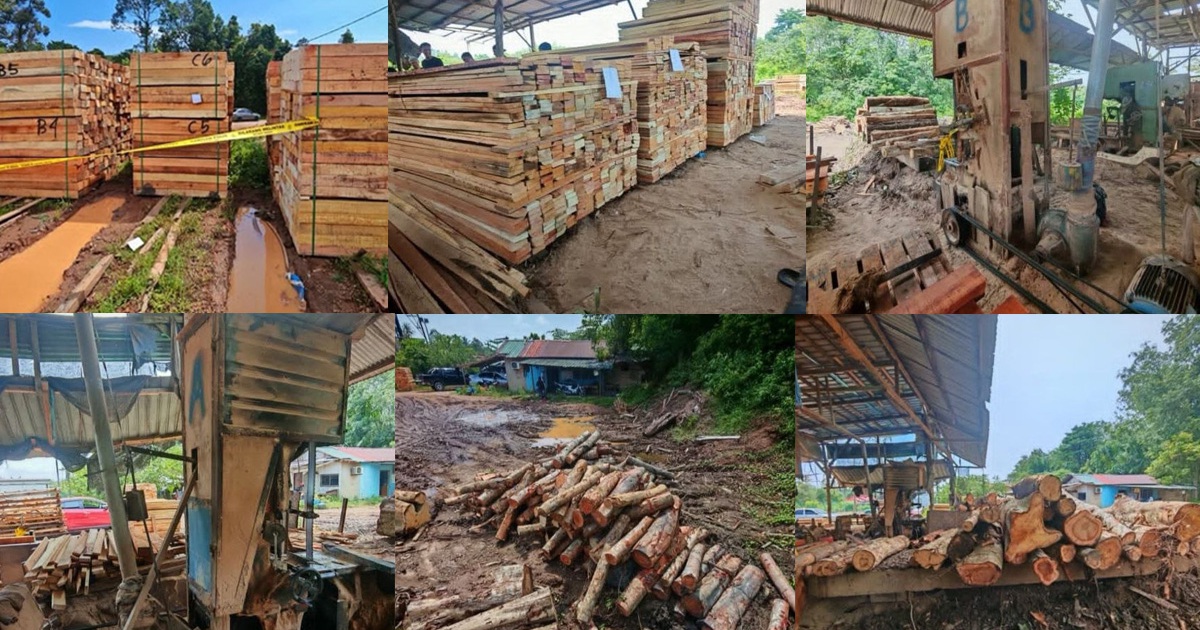 Four arrested as authorities crack down on illegal timber operations in Kelantan