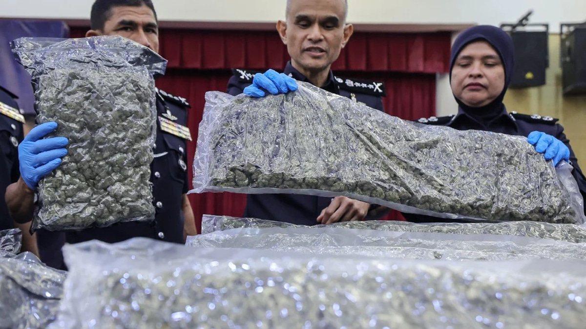 650kg Cannabis Haul at KLIA Signals Organised Trafficking Network, 38 Arrested