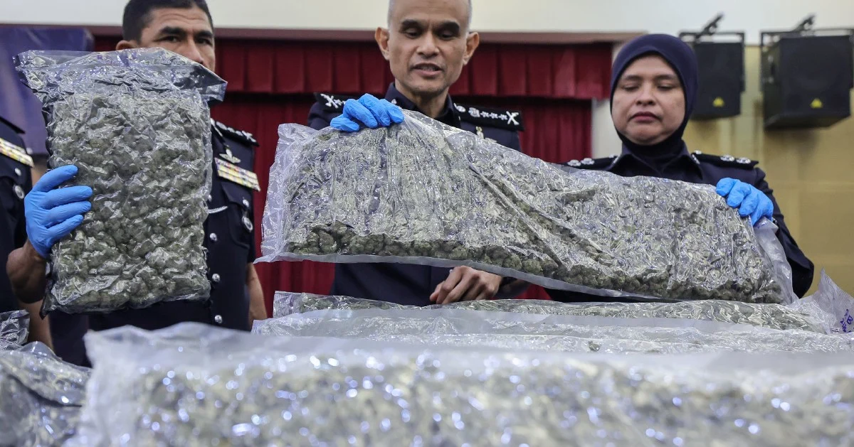 650kg Cannabis Haul at KLIA Signals Organised Trafficking Network, 38 Arrested
