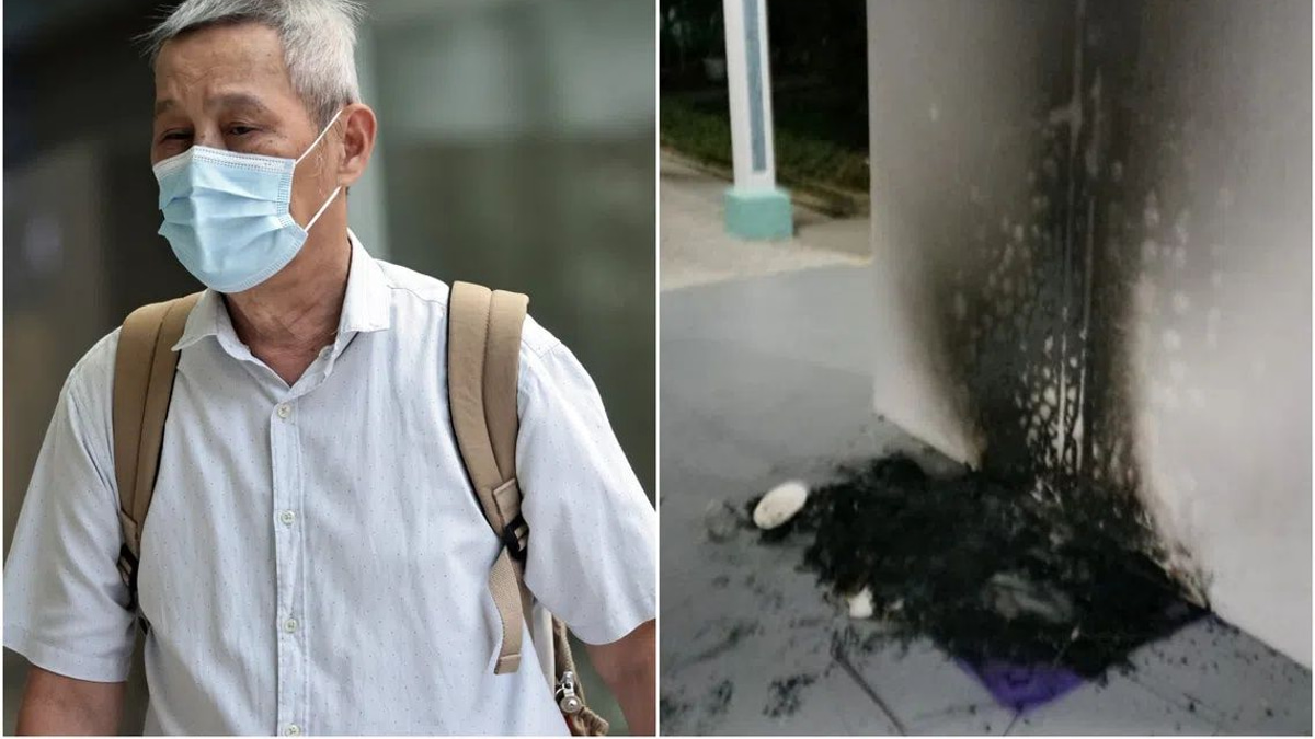 Singapore Man Jailed Three Months for Burning Community Cat Houses