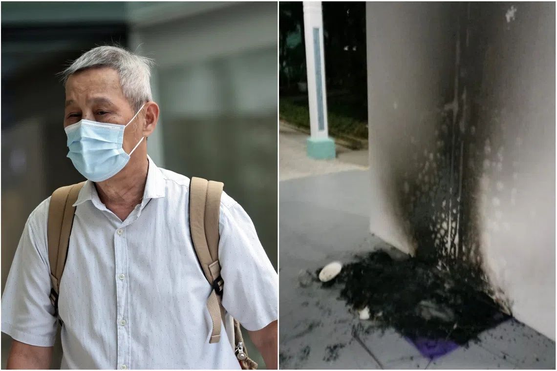 Singapore Man Jailed Three Months for Burning Community Cat Houses