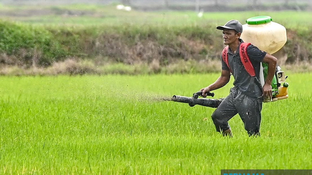 Kelantan Invests RM3.64 Million in Agriculture Push Across Farming, Livestock and Fisheries