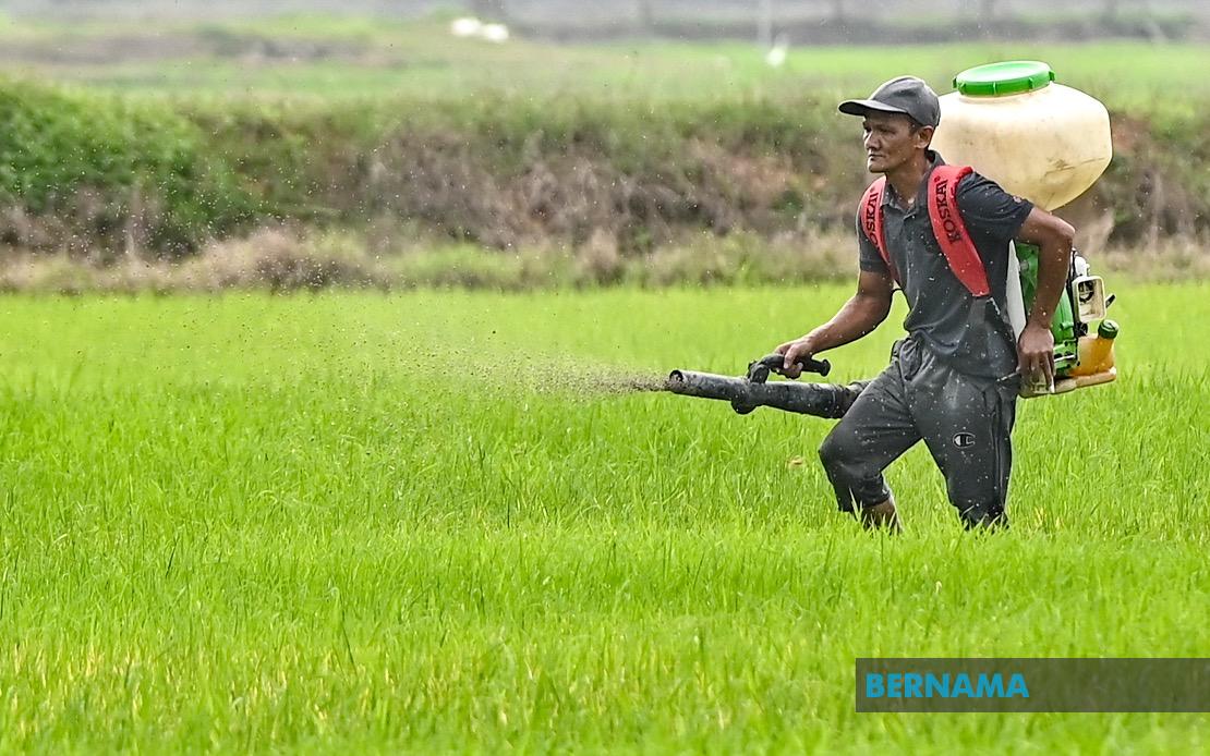 Kelantan Invests RM3.64 Million in Agriculture Push Across Farming, Livestock and Fisheries