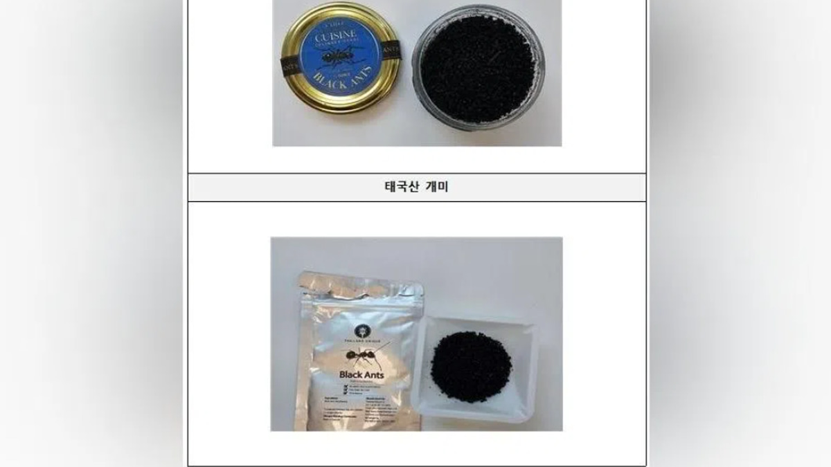South Korean Michelin-starred chef faces prison for serving unapproved ants as garnish